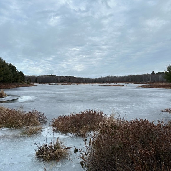 Meet your Posher, Kait - Picture 1 of 1